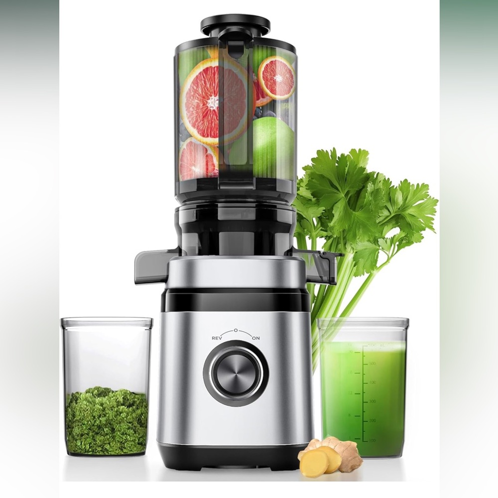 Stainless Steel Juicer with Black Accents
